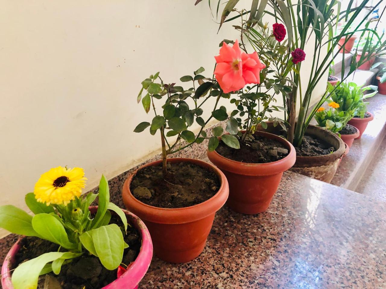 Gangotri Paying Guest House Варанаси Екстериор снимка